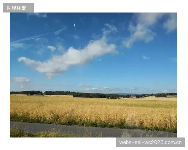 拥有辉煌历史的瑞典队期待在北美大陆再创佳绩，但小组赛的艰难程度已远超往届。